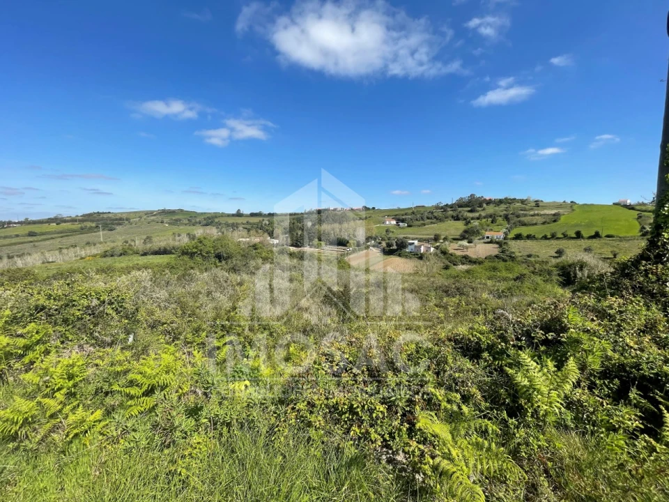 Terreno Agricola ou Rústico para Venda em Santo Quintino Foto 2