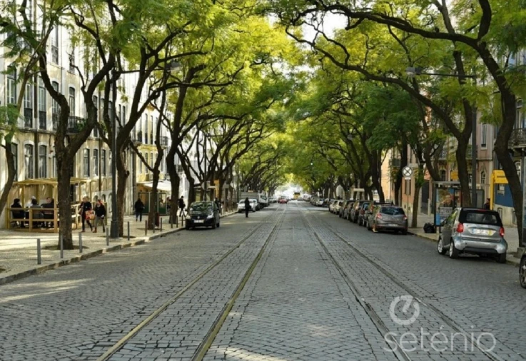 Prédio para Venda em Misericórdia Foto 2