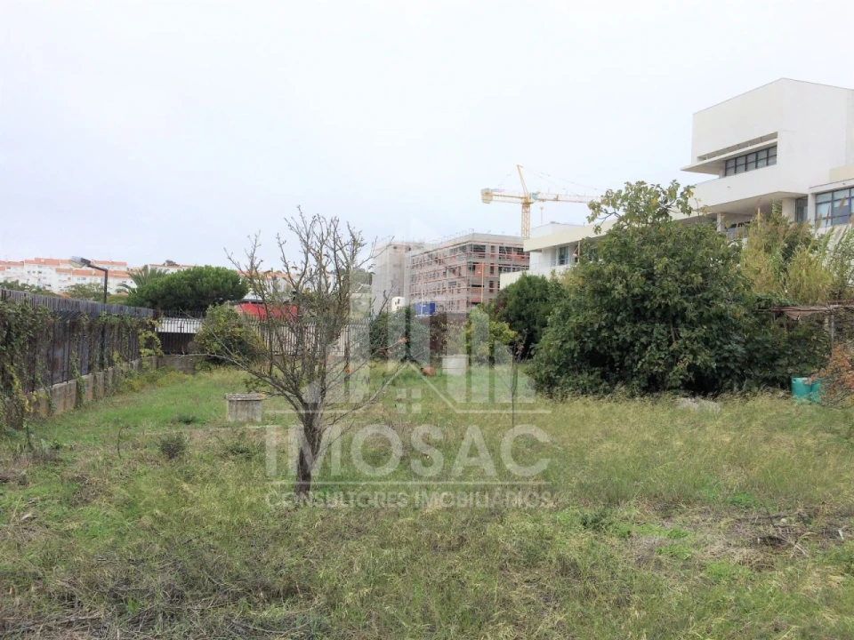 Terreno Agricola ou Rústico para Venda em Ajuda Foto 3