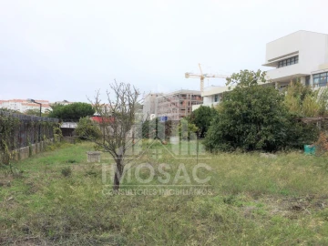 Terreno Agricola ou Rústico para Venda em Ajuda