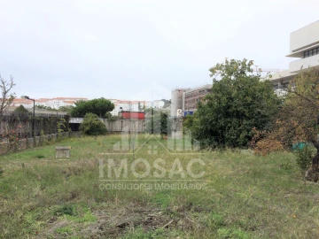 Terreno Agricola ou Rústico para Venda em Ajuda