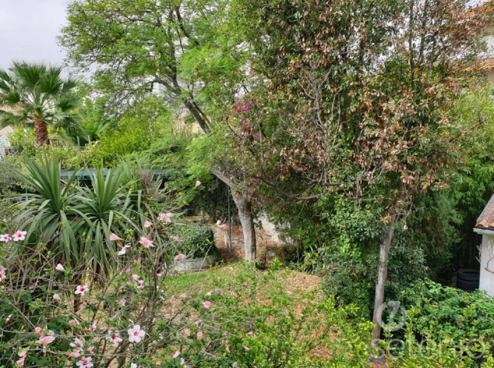 Moradia T11 para Venda em Alvalade Foto 4