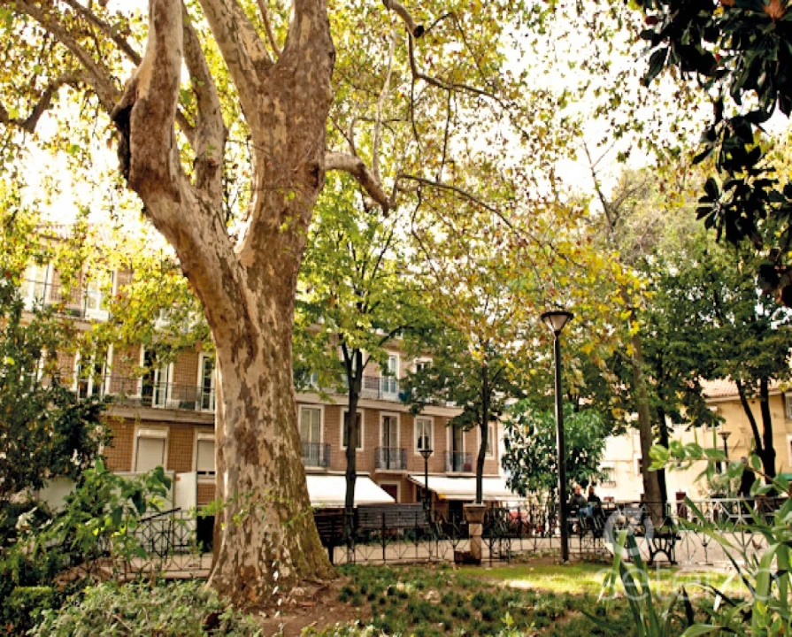 Prédio para Venda em Santo António Foto 3