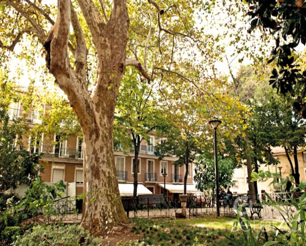 Prédio para Venda em Santo António Foto 3