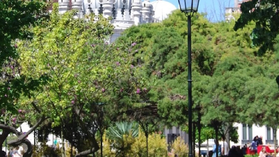 Prédio para Venda em Santo António