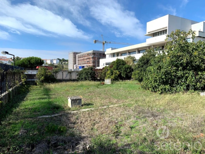 Terreno para Venda em Ajuda Foto 4