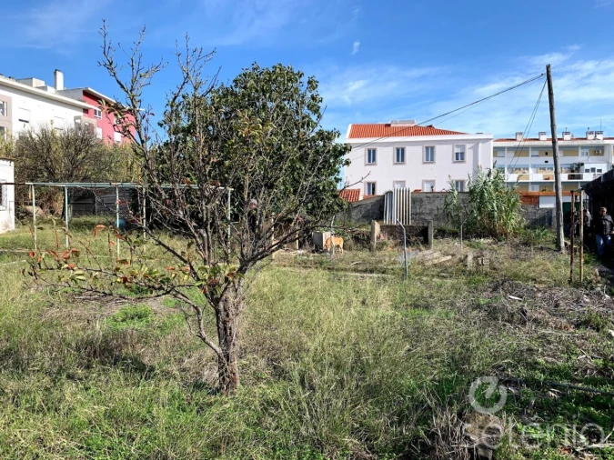 Terreno para Venda em Ajuda Foto 6