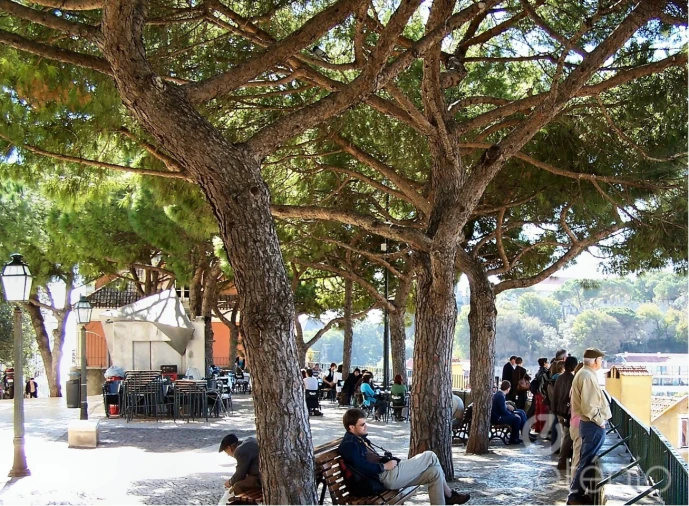 Prédio para Venda em São Vicente Foto 18
