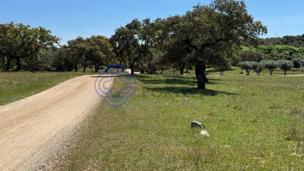 Moradia T3 para Venda em Torre de Coelheiros Foto 55