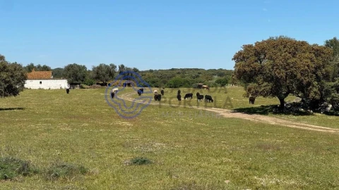 Moradia T3 para Venda em Torre de Coelheiros