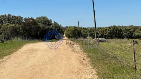 Moradia T3 para Venda em Torre de Coelheiros