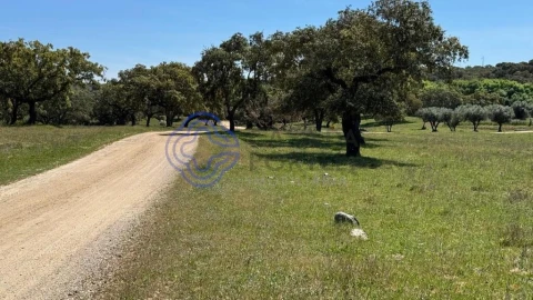 Moradia T3 para Venda em Torre de Coelheiros