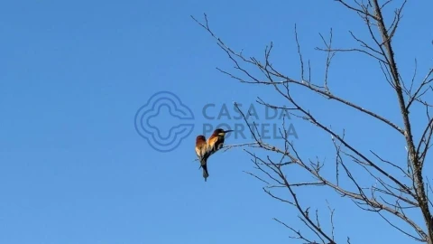 Moradia T3 para Venda em Torre de Coelheiros