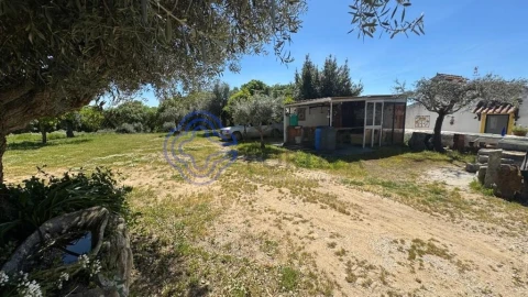 Moradia T3 para Venda em Torre de Coelheiros