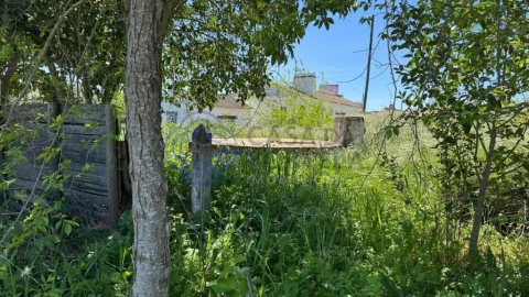 Moradia T3 para Venda em Torre de Coelheiros