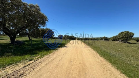 Moradia T3 para Venda em Torre de Coelheiros