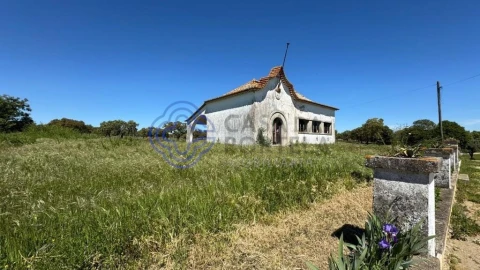 Moradia T3 para Venda em Torre de Coelheiros