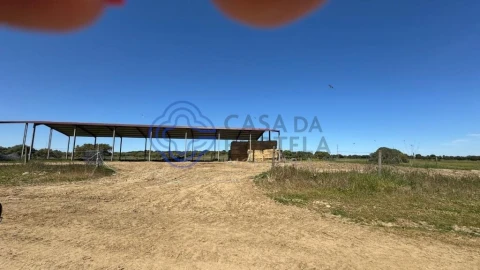 Moradia T3 para Venda em Torre de Coelheiros