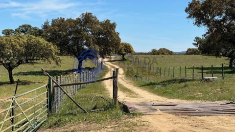 Moradia T3 para Venda em Torre de Coelheiros