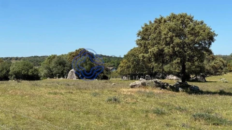 Moradia T3 para Venda em Torre de Coelheiros