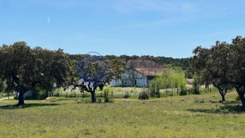 Moradia T3 para Venda em Torre de Coelheiros
