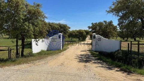 Moradia T3 para Venda em Torre de Coelheiros