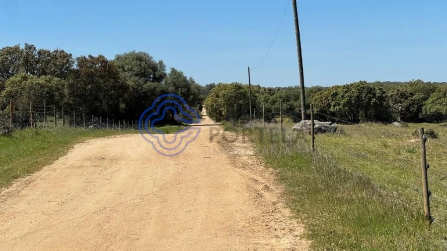 Moradia T3 para Venda em Torre de Coelheiros Foto 48