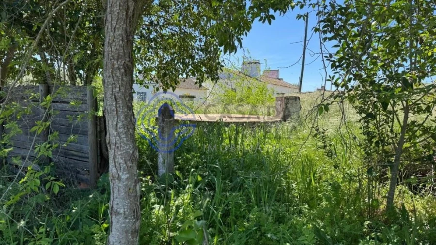 Moradia T3 para Venda em Torre de Coelheiros Foto 37