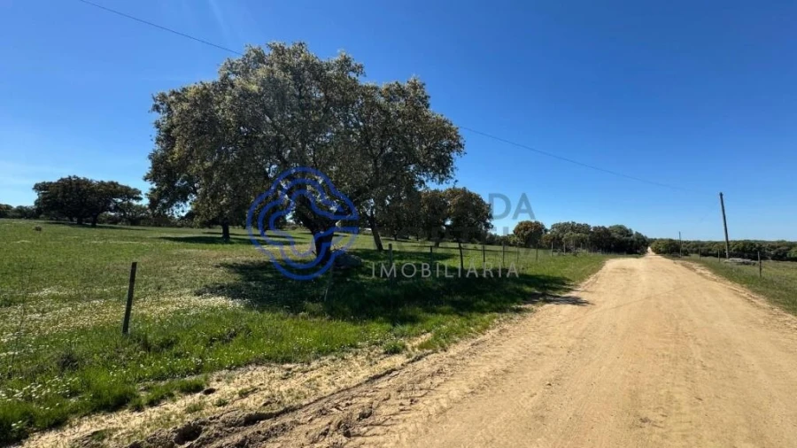 Moradia T3 para Venda em Torre de Coelheiros Foto 57