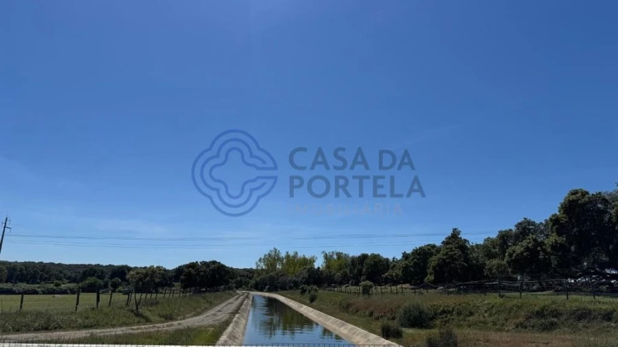 Moradia T3 para Venda em Torre de Coelheiros Foto 38