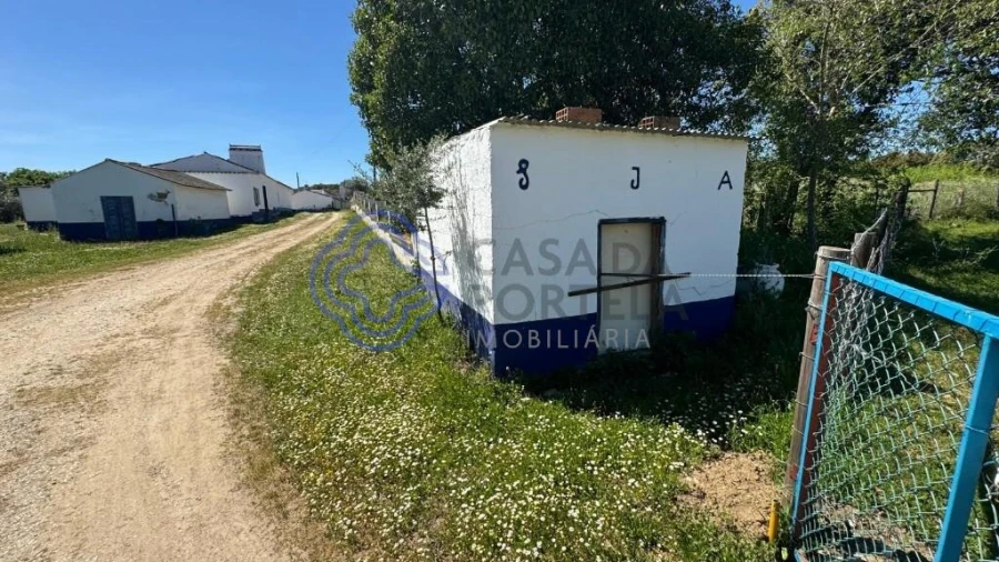 Moradia T3 para Venda em Torre de Coelheiros Foto 34