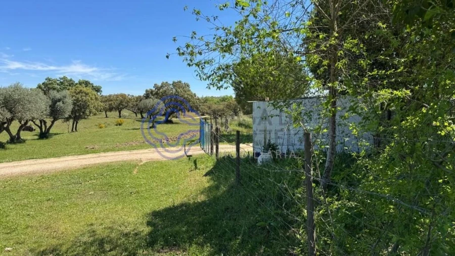 Moradia T3 para Venda em Torre de Coelheiros Foto 35