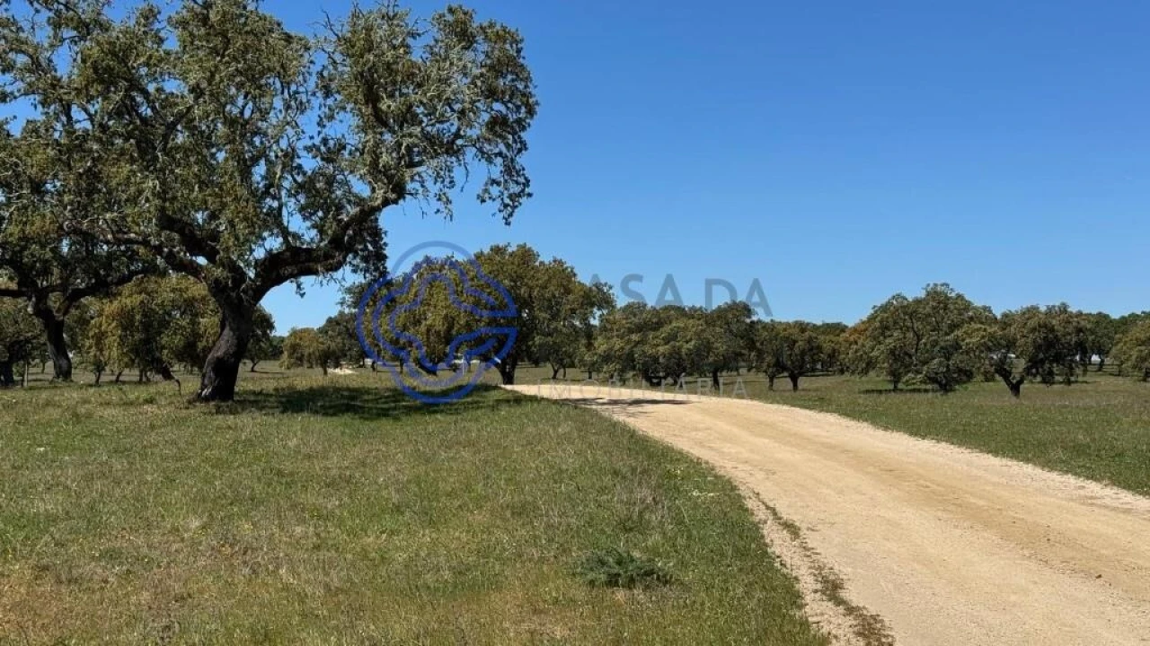 Moradia T3 para Venda em Torre de Coelheiros Foto 50