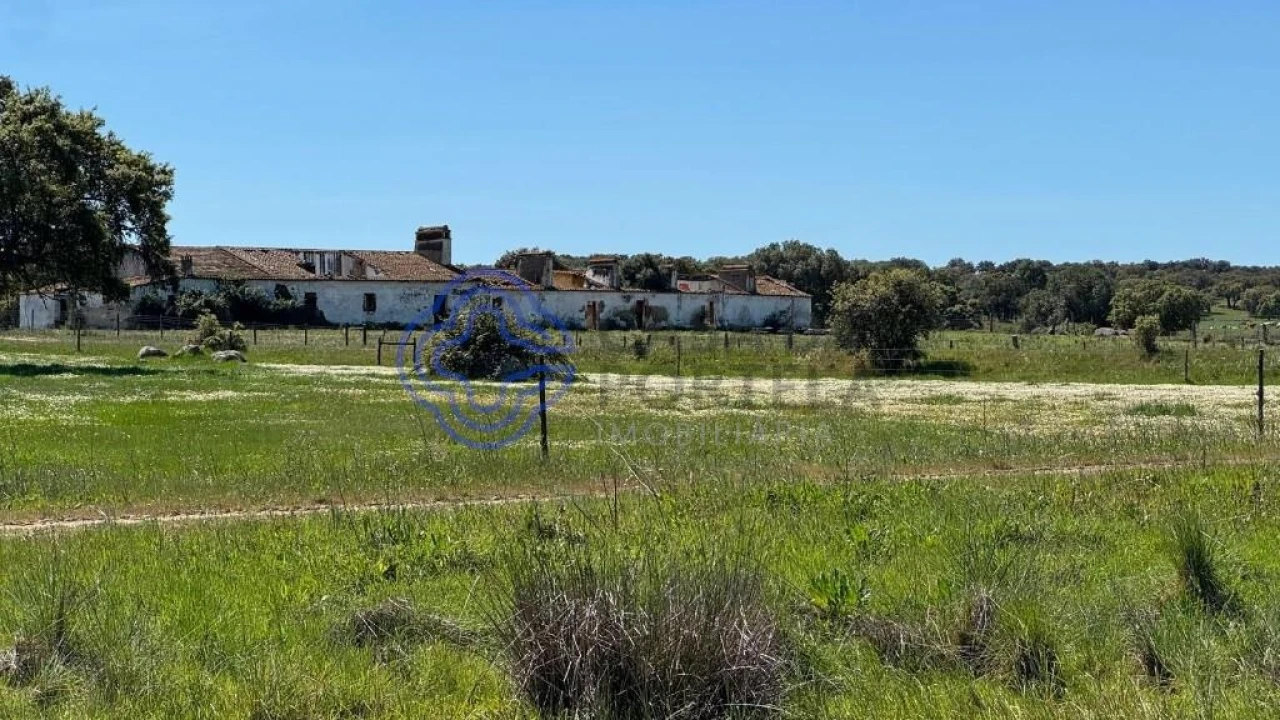 Moradia T3 para Venda em Torre de Coelheiros Foto 54