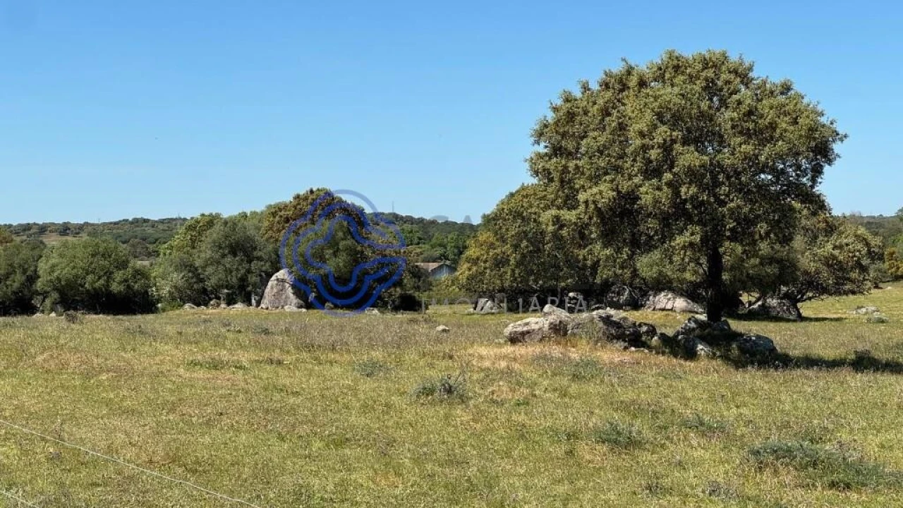 Moradia T3 para Venda em Torre de Coelheiros Foto 51