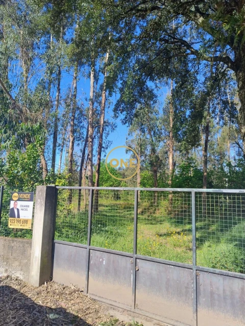 Terreno para Venda em Turiz