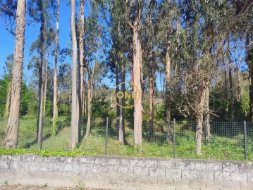 Terreno para Venda em Turiz