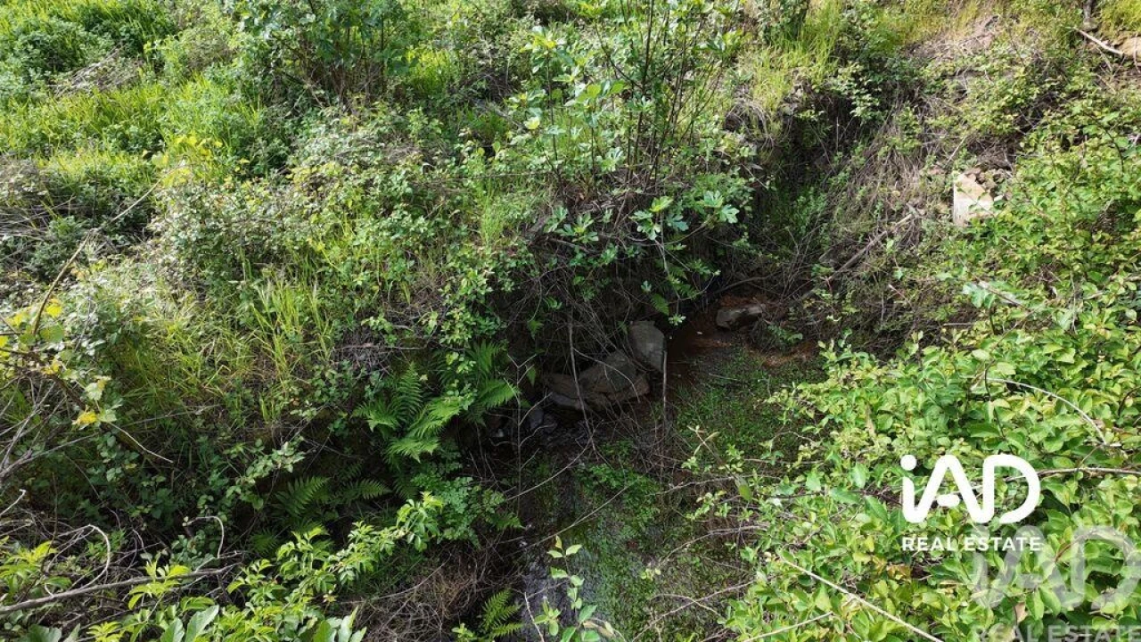 Moradia para Venda em Graça Foto 10