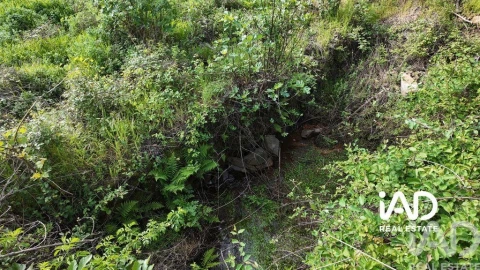 Moradia para Venda em Graça