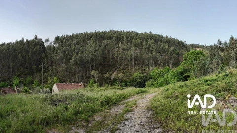 Moradia para Venda em Graça