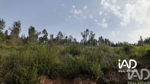 Moradia para Venda em Graça