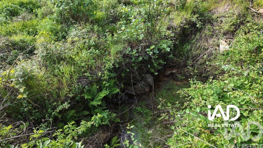 Moradia para Venda em Graça Foto 10