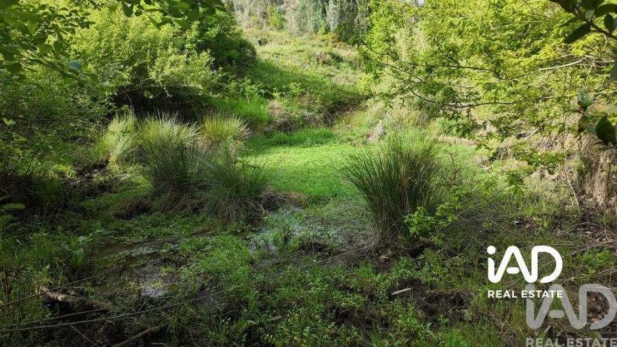 Moradia para Venda em Graça Foto 11