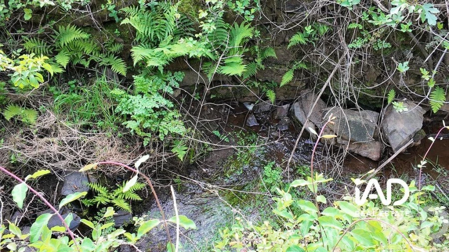 Moradia para Venda em Graça Foto 9