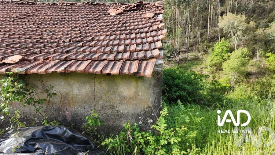 Moradia para Venda em Graça Foto 8