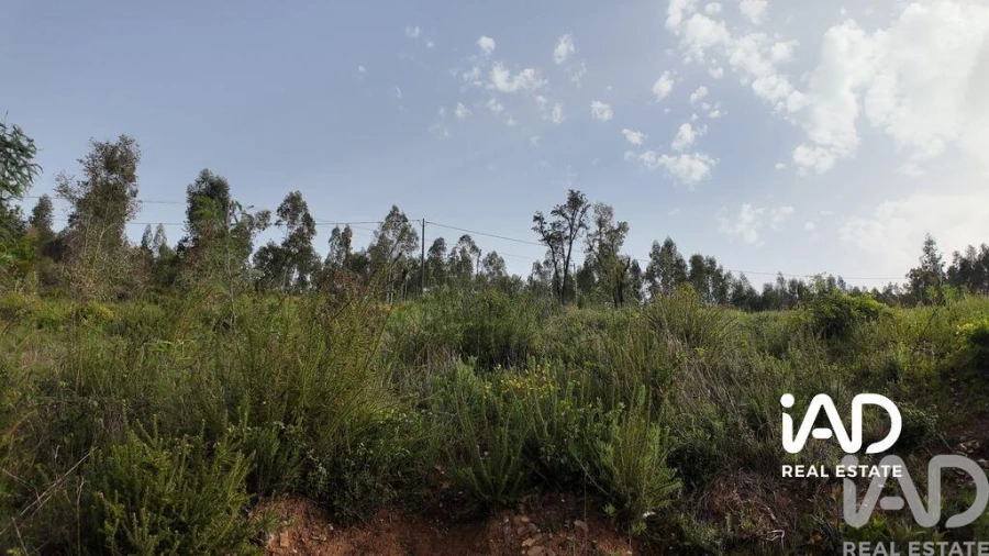 Moradia para Venda em Graça Foto 13