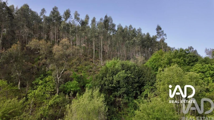 Moradia para Venda em Graça Foto 12