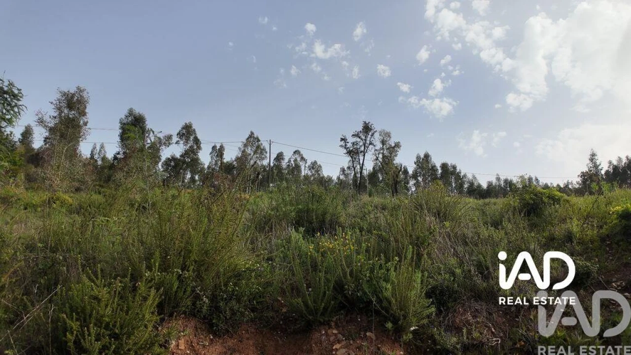 Moradia para Venda em Graça Foto 13