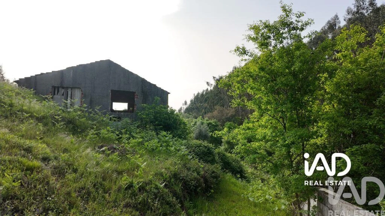 Moradia para Venda em Graça Foto 3