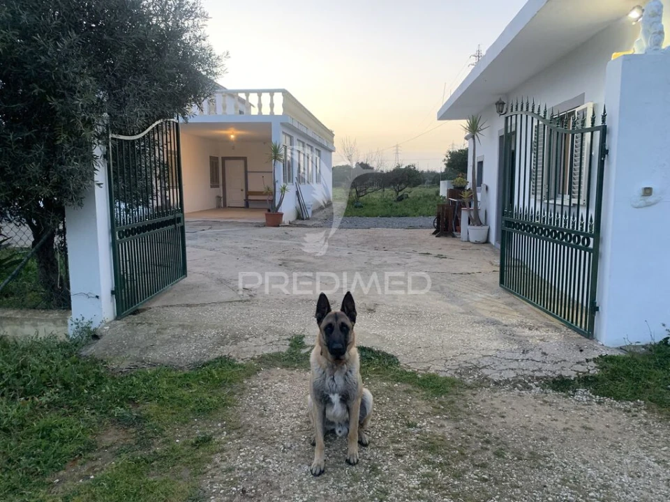 Moradia para Venda em Algoz e Tunes Foto 2